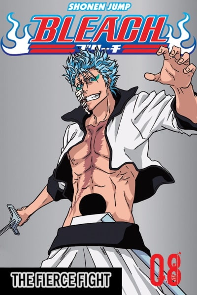 Bleach - Season 8
