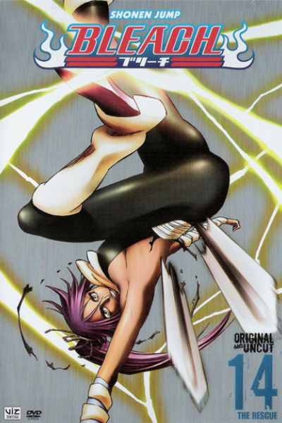 Bleach - Season 14